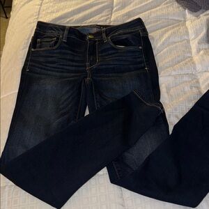 American Eagle Outfitters Navy Denim Jeans